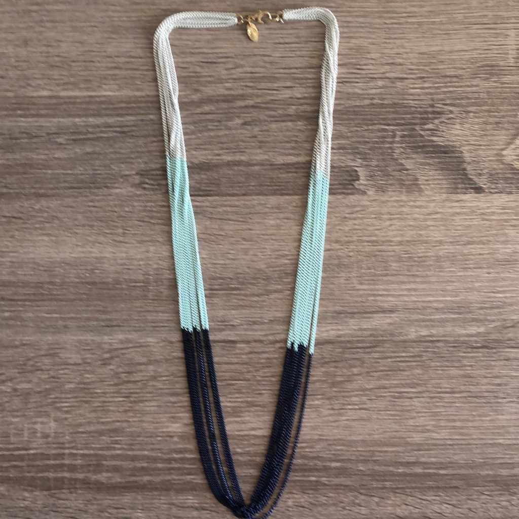 Charming Charlie Necklace 10$